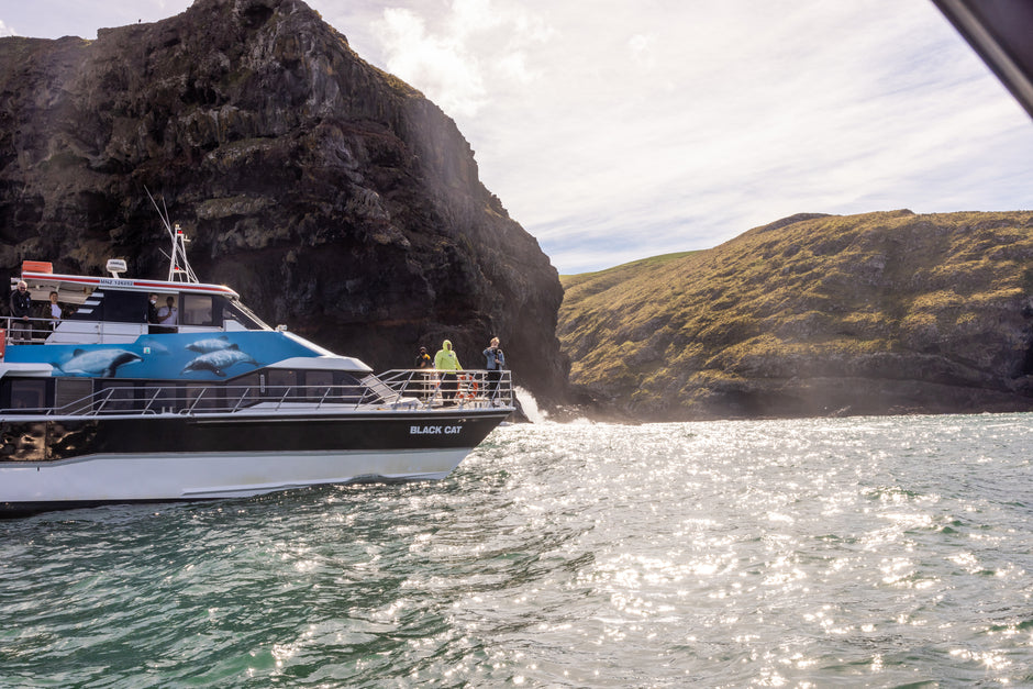 black-cat-cruises