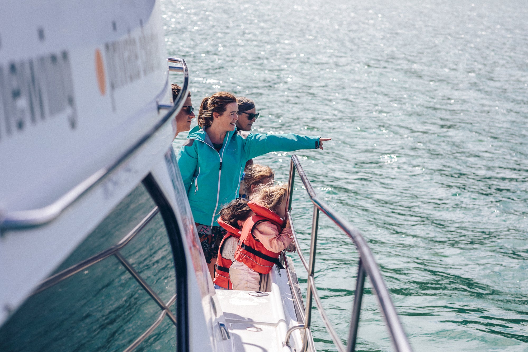 Dolphin Cruise guests