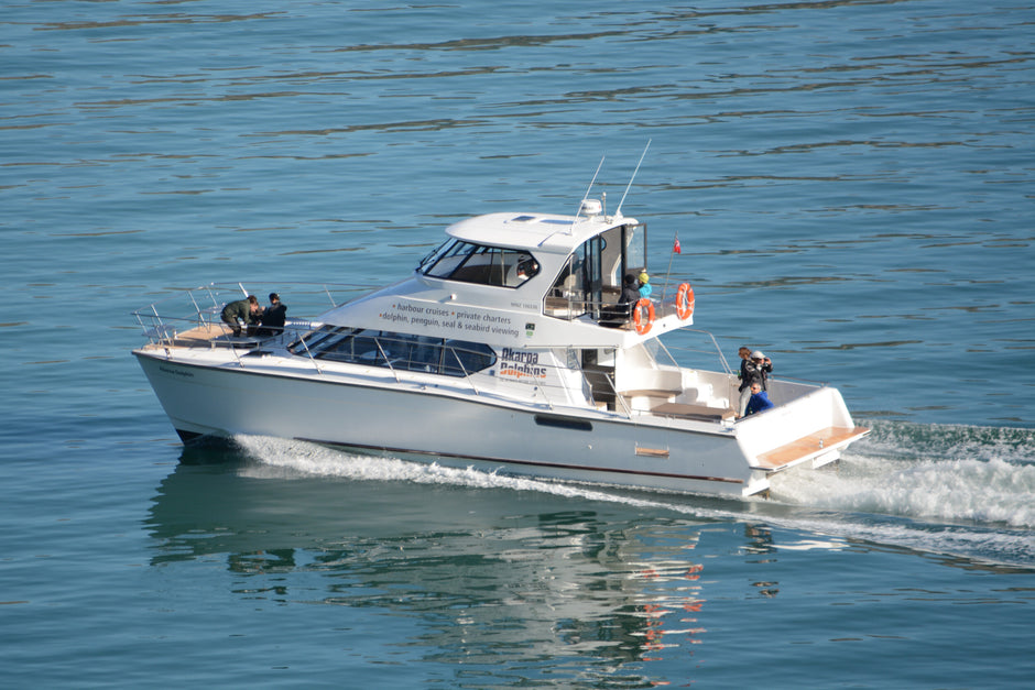 Dophin Boat