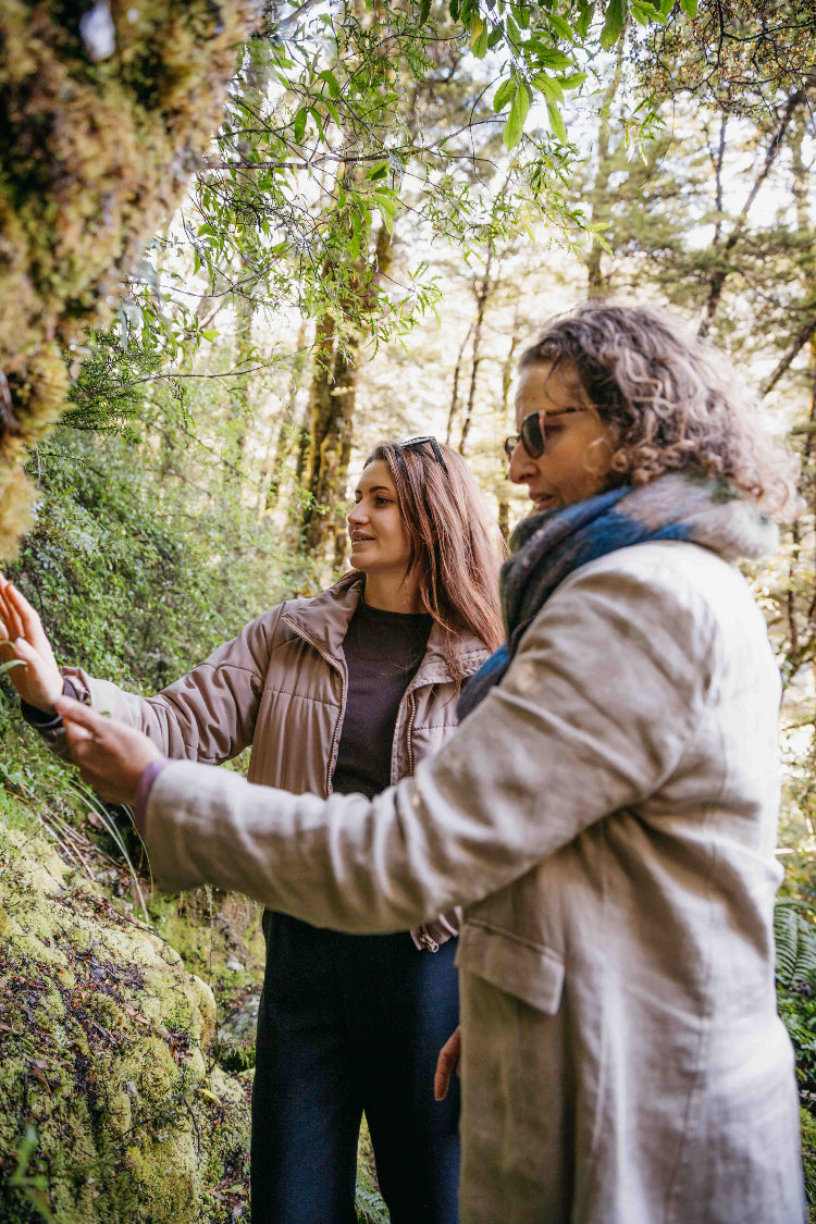 Guests looking at mossy bank