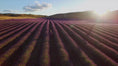 Load and play video in Gallery viewer, Makenzie Country with Canterbury Trails