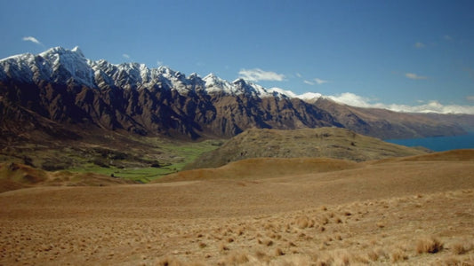 Queenstown to Christchurch: Private One Day Tour