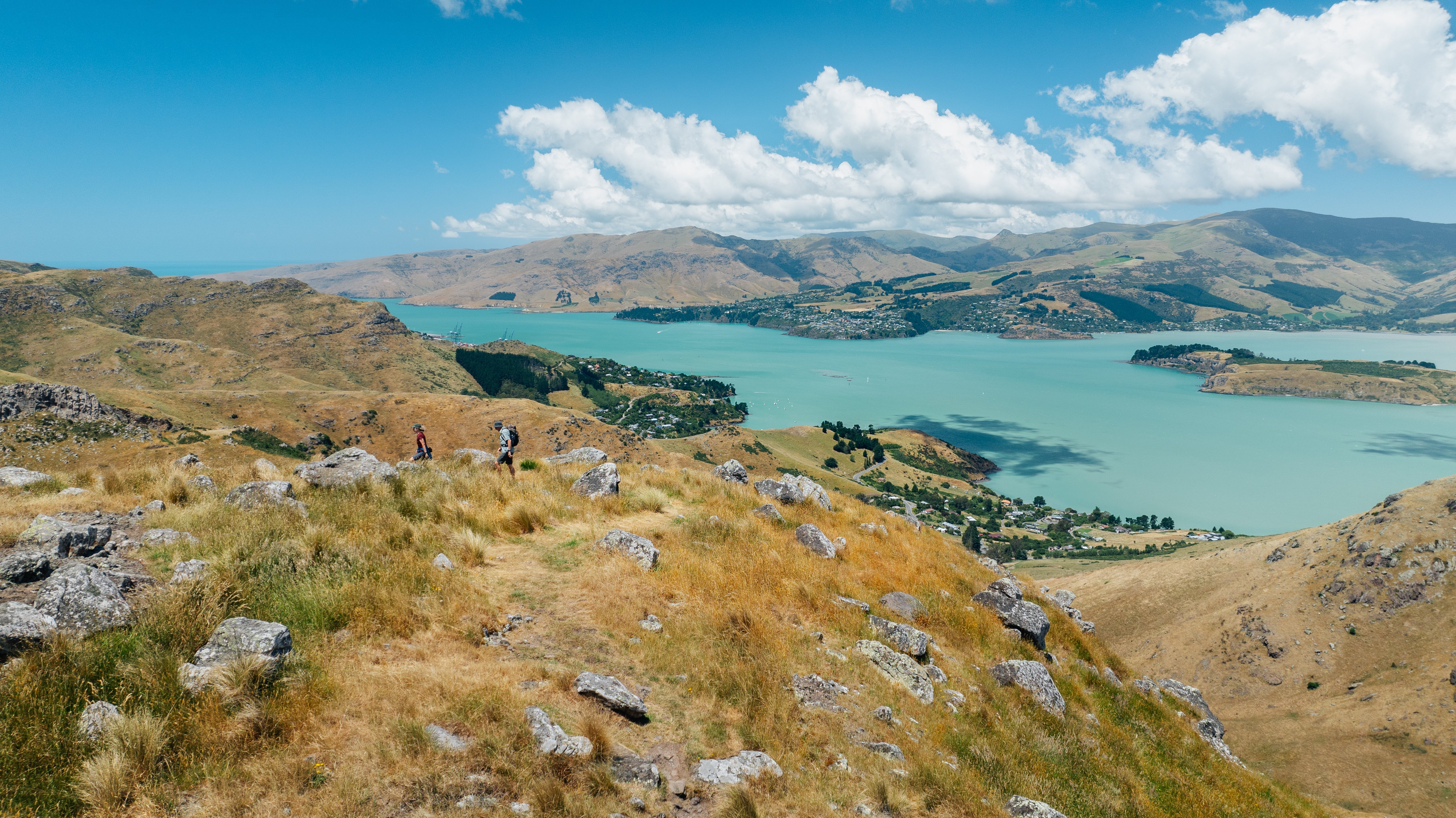 View over Lyttelton Harbour, the cruise port for Christchurch