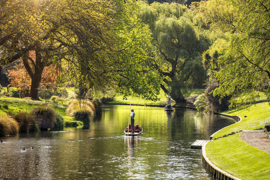 Christchurch Tours: From City Highlights to Natural Wonders