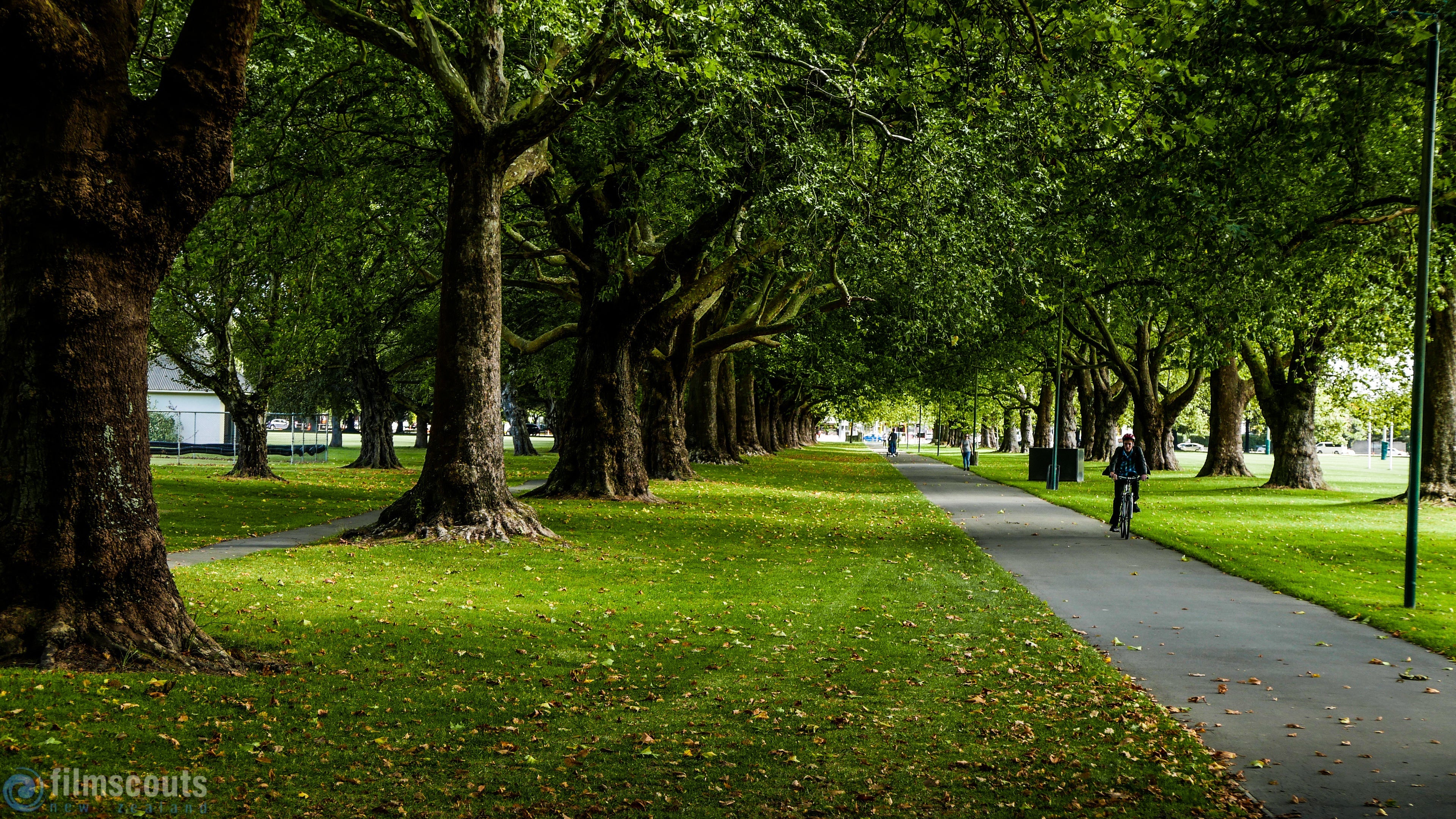 Hagley Park in central Christchurch, the heart of the Garden City
