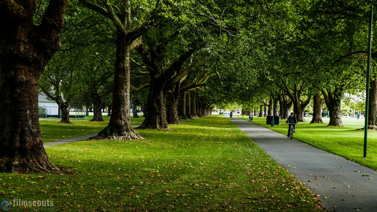 Hagley Park in central Christchurch, the heart of the Garden City