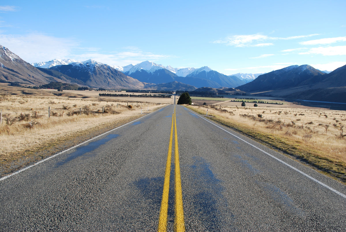 The road climbing toward Arthur's Pass on the journey across the Southern Alps