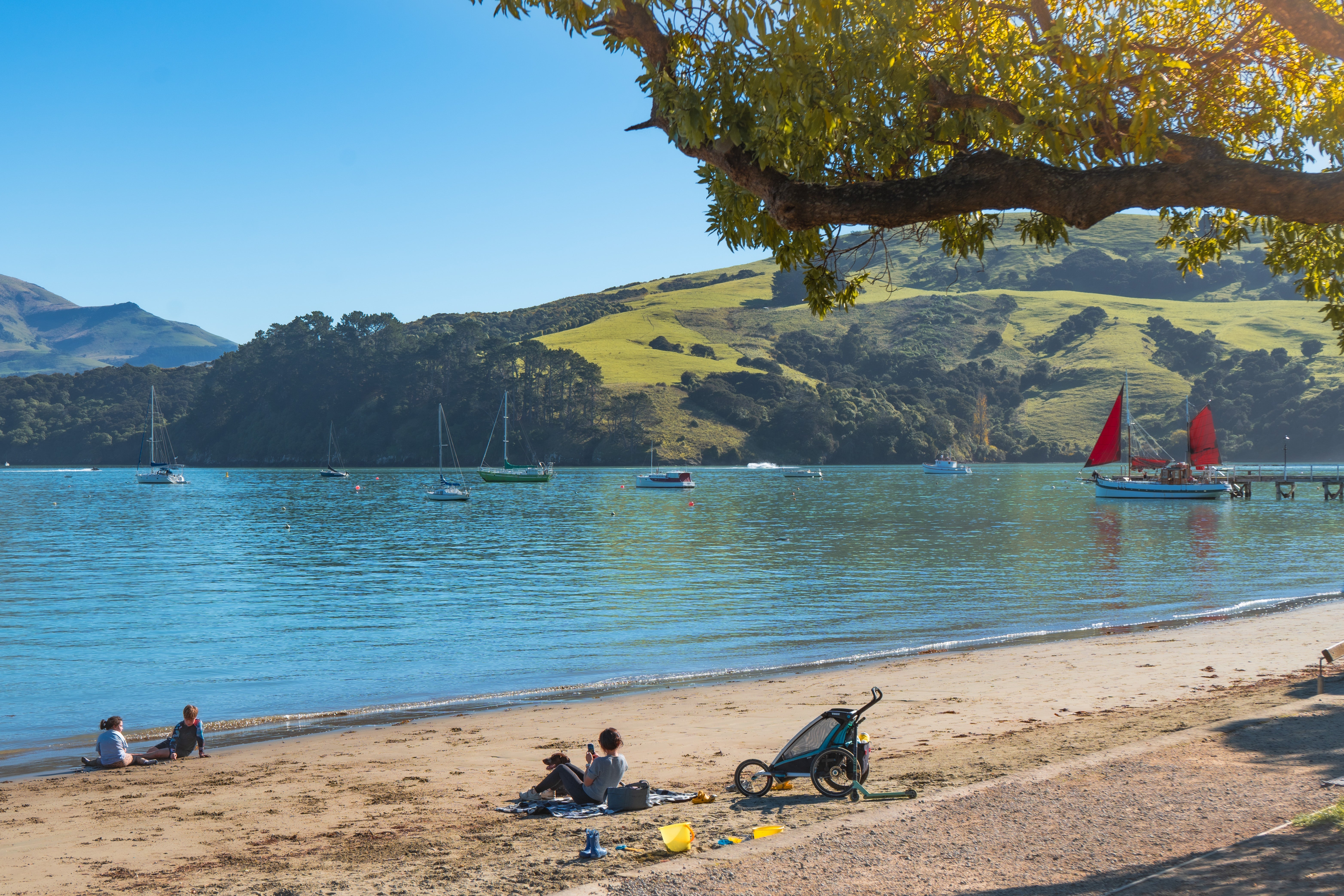 Akaroa or Kaikoura: Which Day Trip from Christchurch?