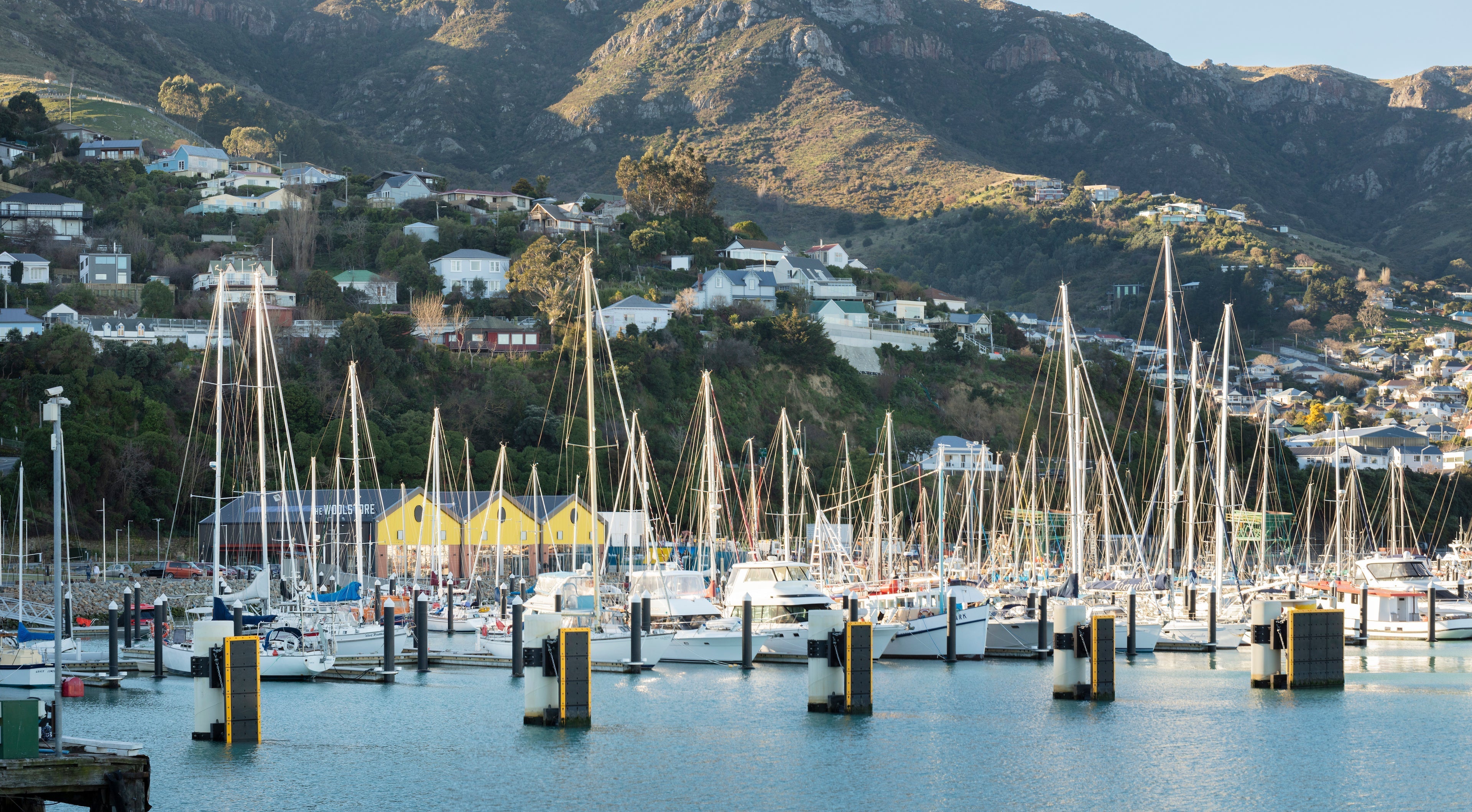 Yachts moored in Akaroa Harbour on a calm summer morning