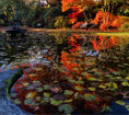 Load image into Gallery viewer, Botanical Gardens Christchurch city
