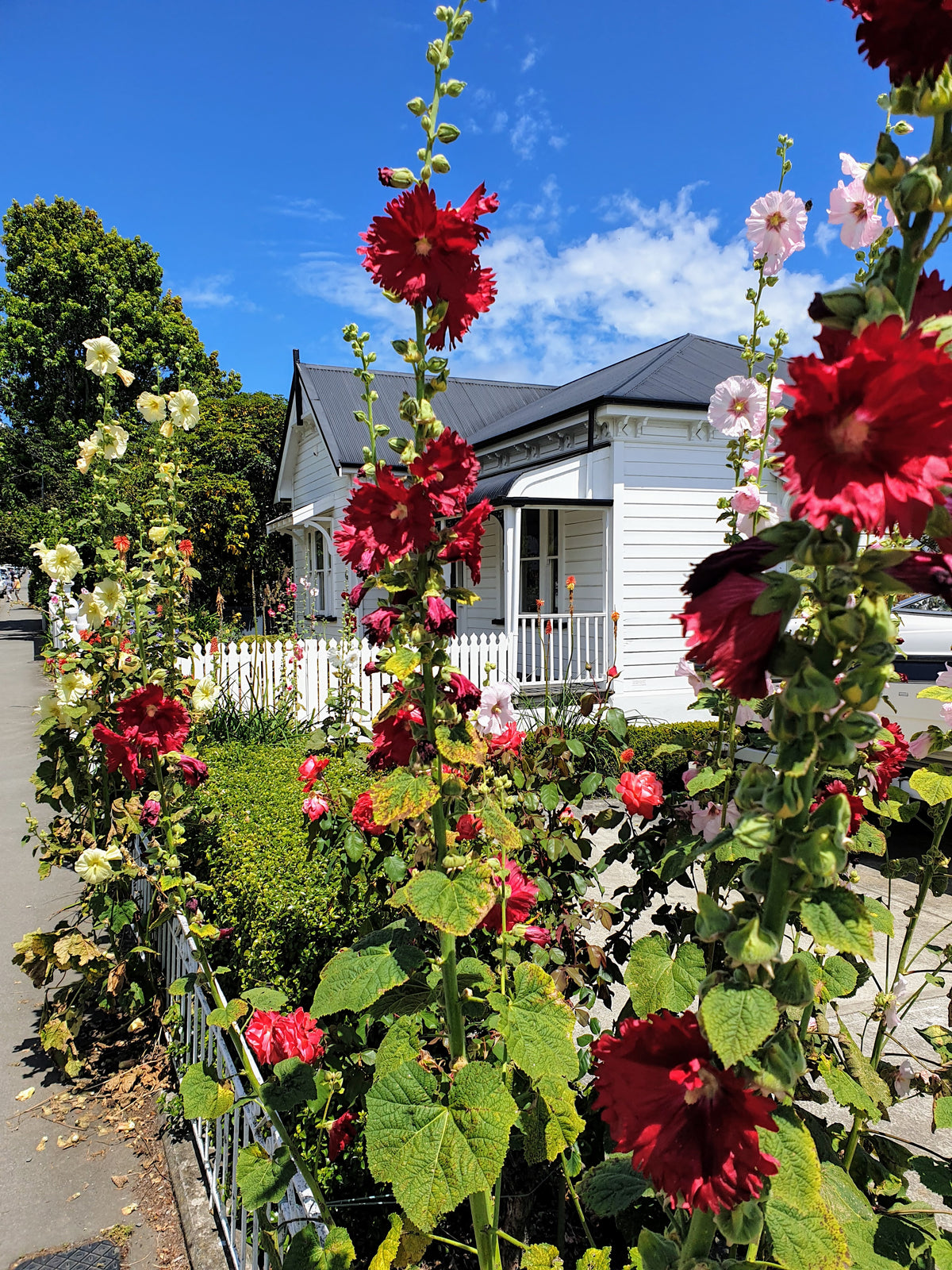 Akaroa-Banks_Peninsula-Canterbury_Trails_cottage