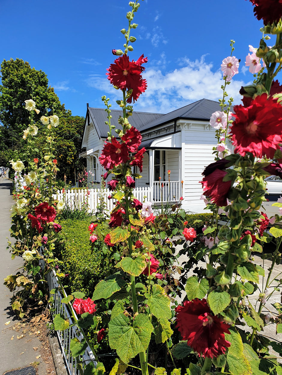 Akaroa-Banks_Peninsula-Canterbury_Trails_cottage