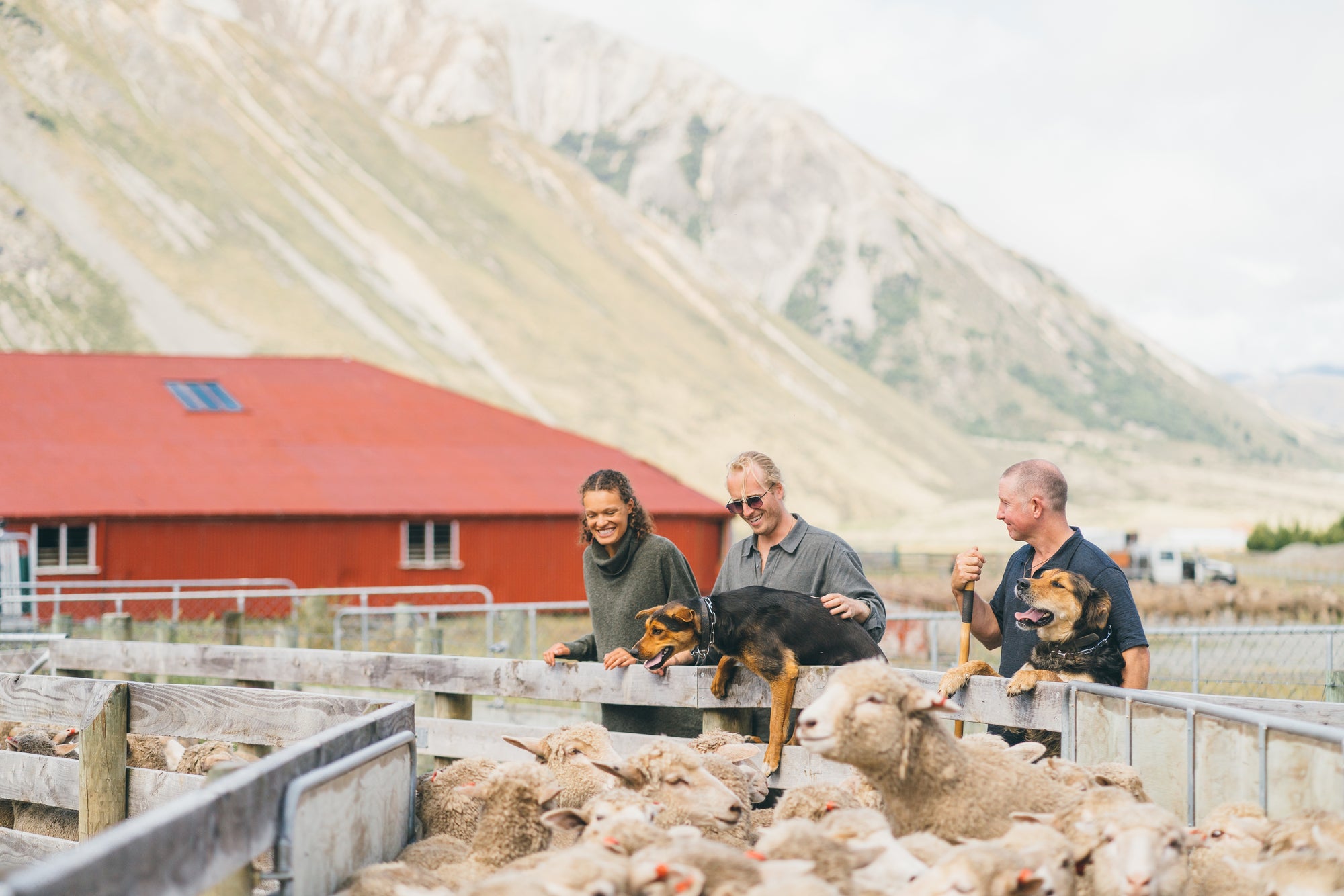 High Country Farm Visit