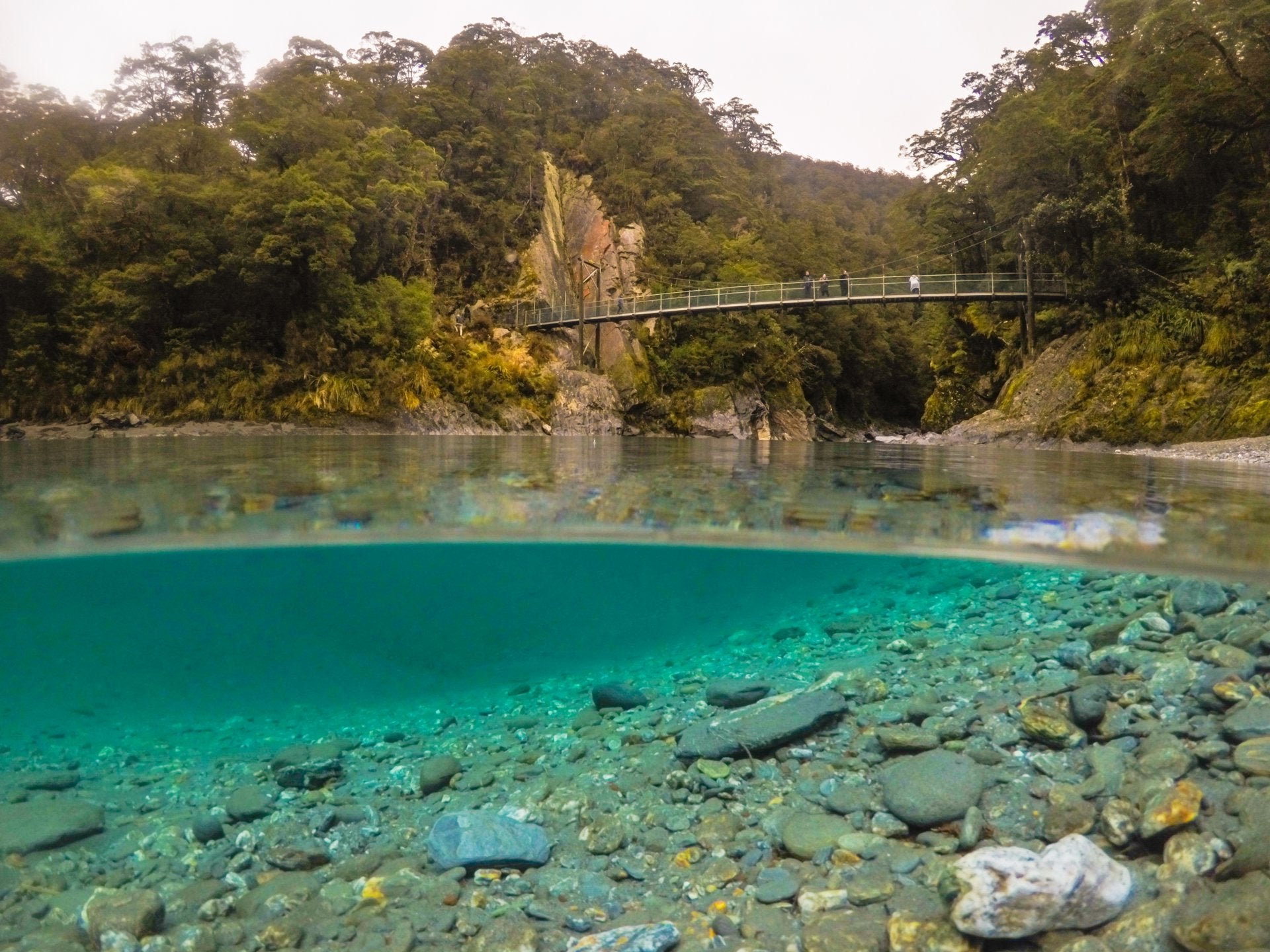 Christchurch - Arthurs Pass - West Coast Glaciers - Queenstown:  Private Four Day Tour