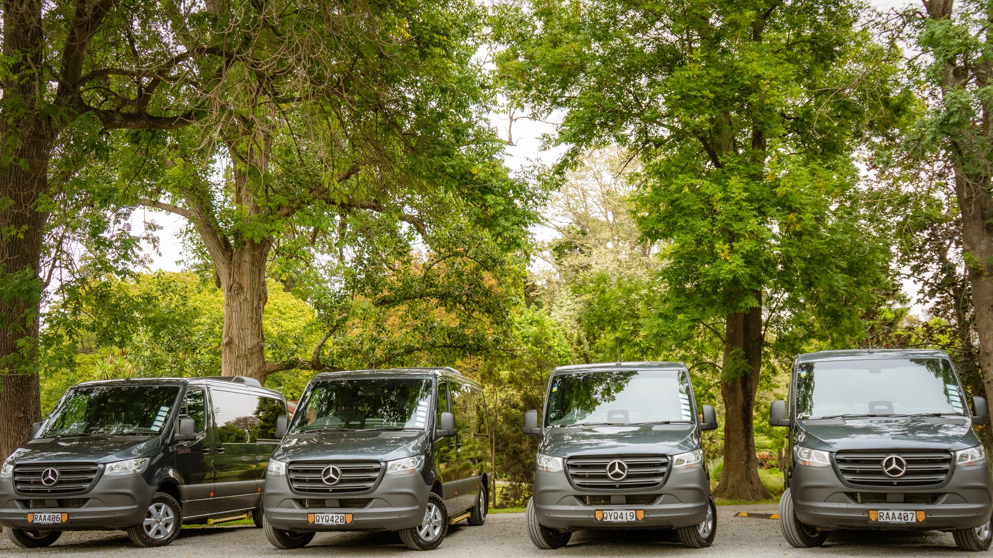 Four Mercedes-Benz vans parked under a tree-lined street
