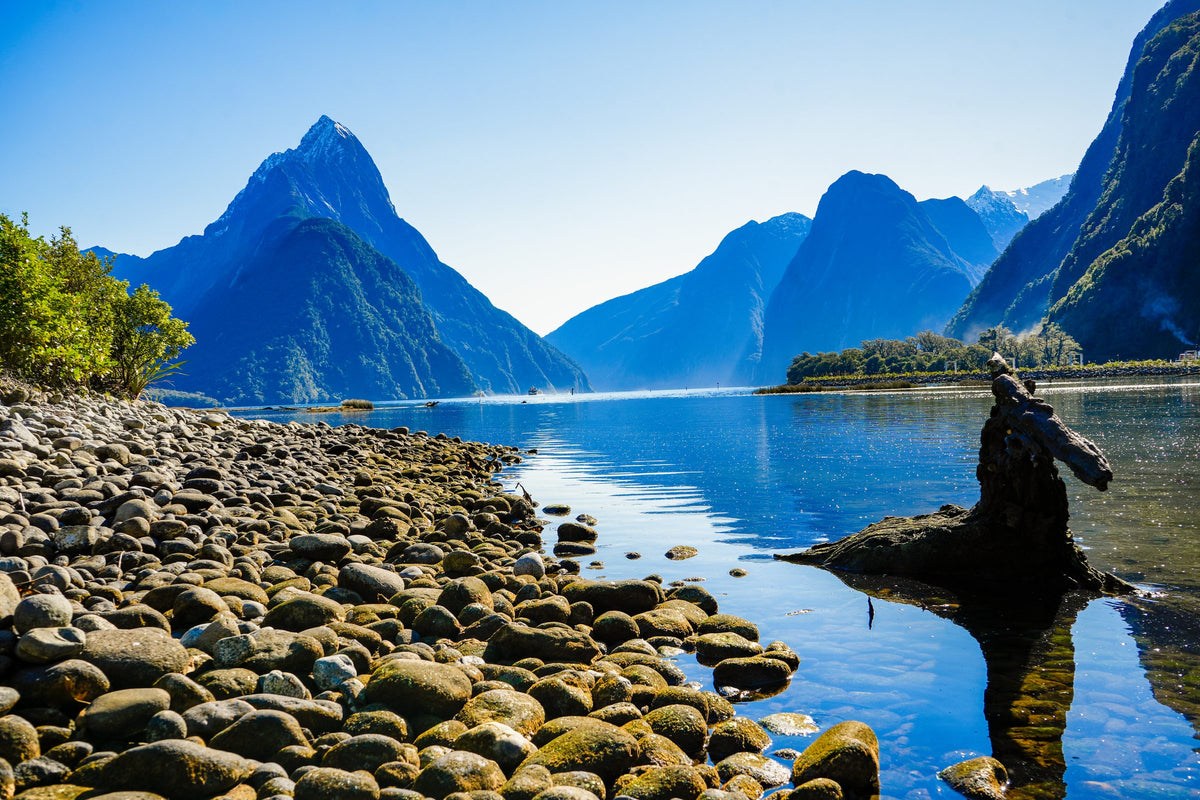 Mitre Peak reflected in Milford Sound from the boulder foreshore