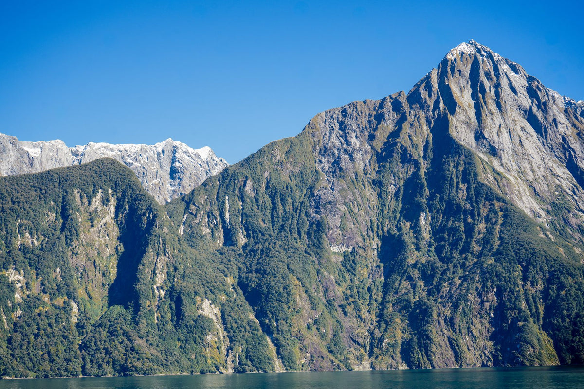 A granite peak rising straight out of Milford Sound