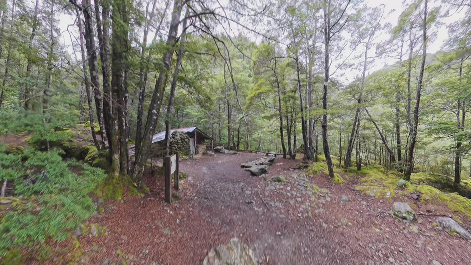 The restored Sam Summers Hut in the beech forest on the Mount Crichton loop